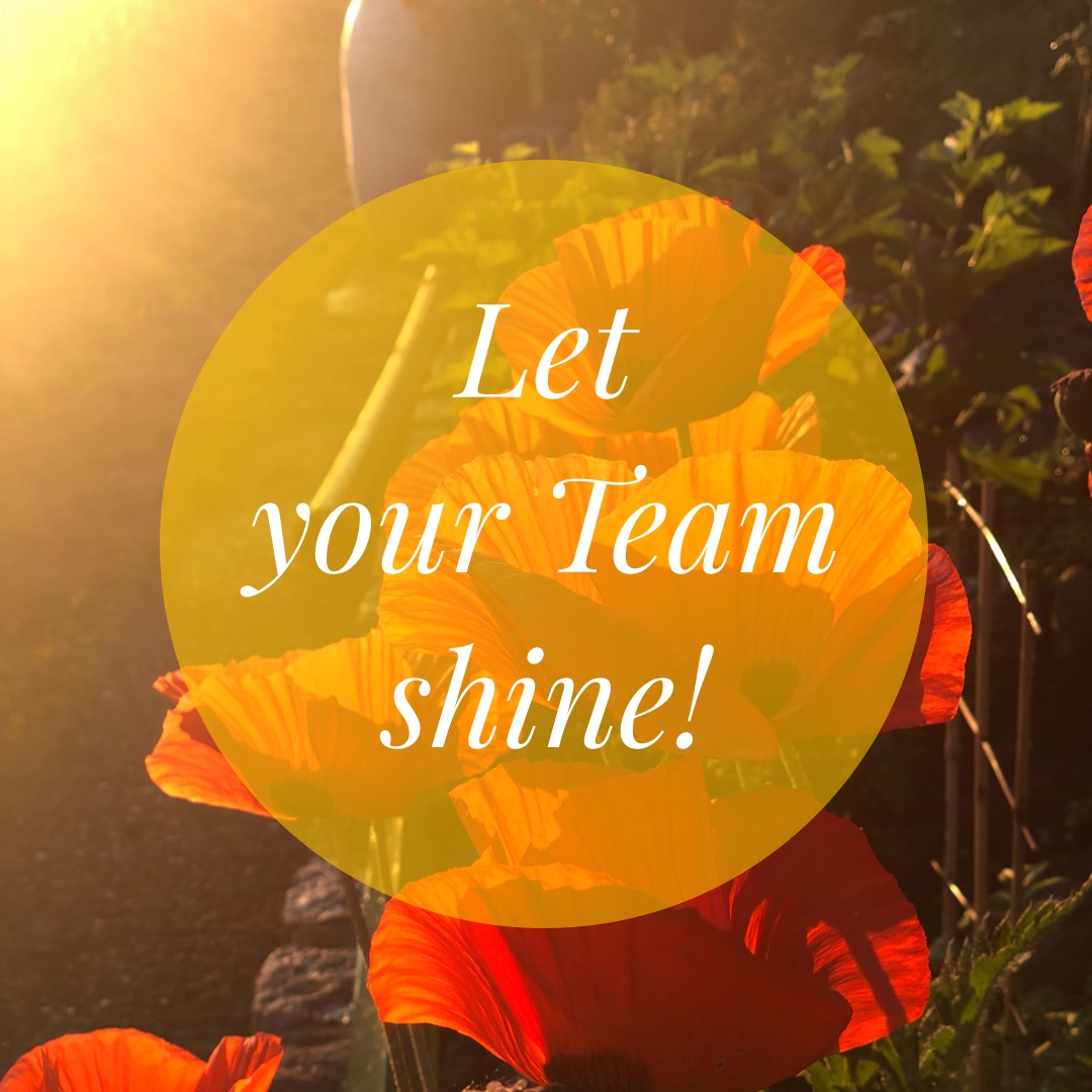 Let your team shine